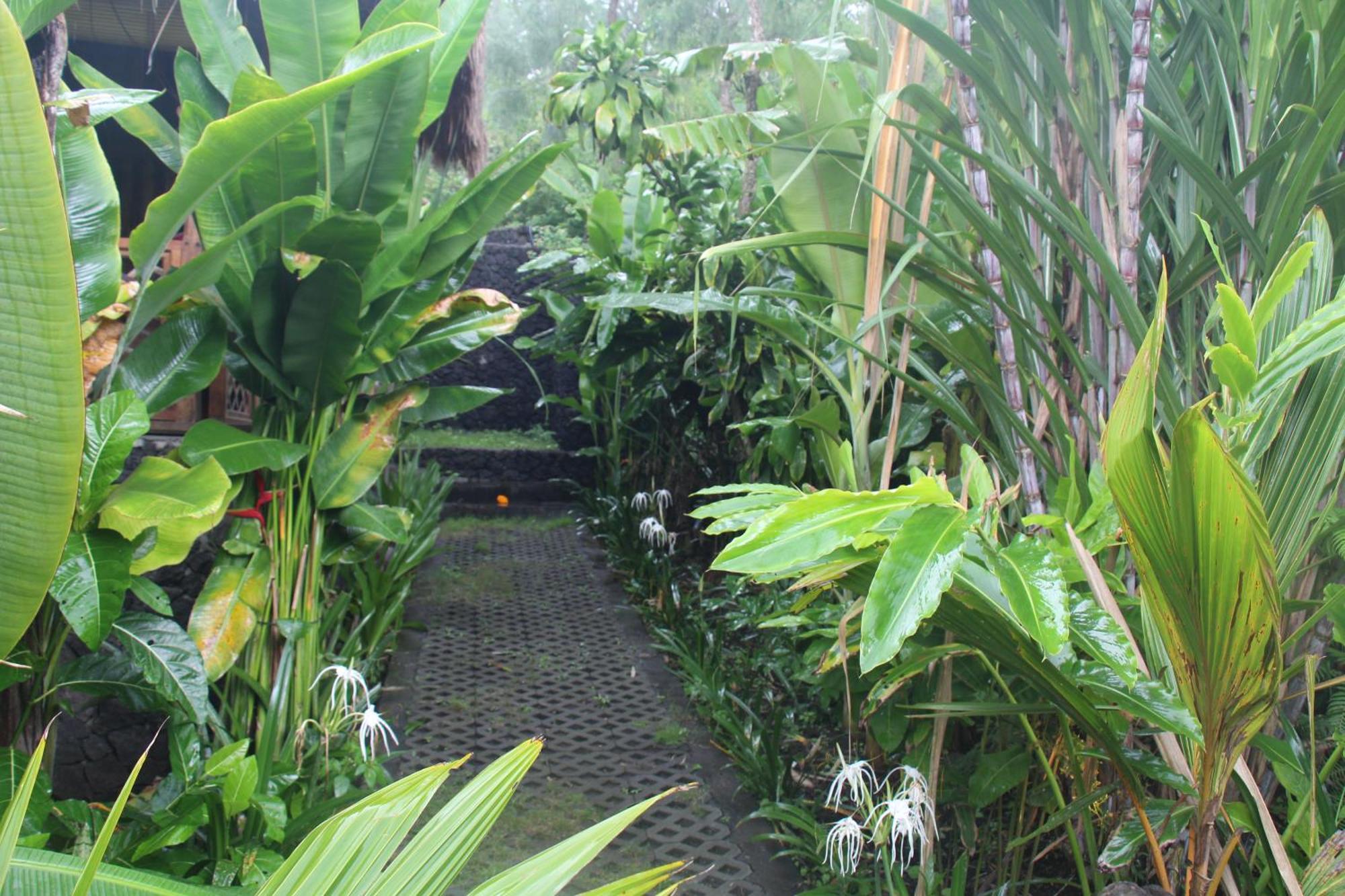 Geopark Village Kintamani Exterior foto